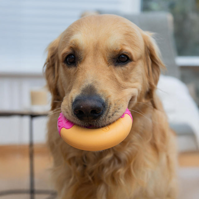 Nylabone Bacon Glazed Extreme Donut