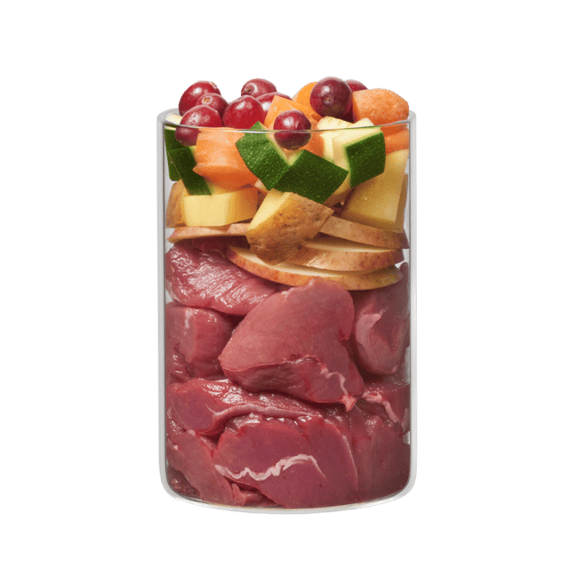 Terra Canis Puppy Wet Food Antelope