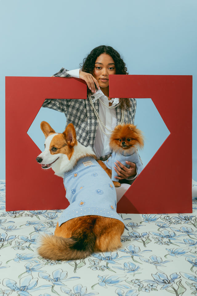 Bridgerton X Max Bone Jumper for Dogs