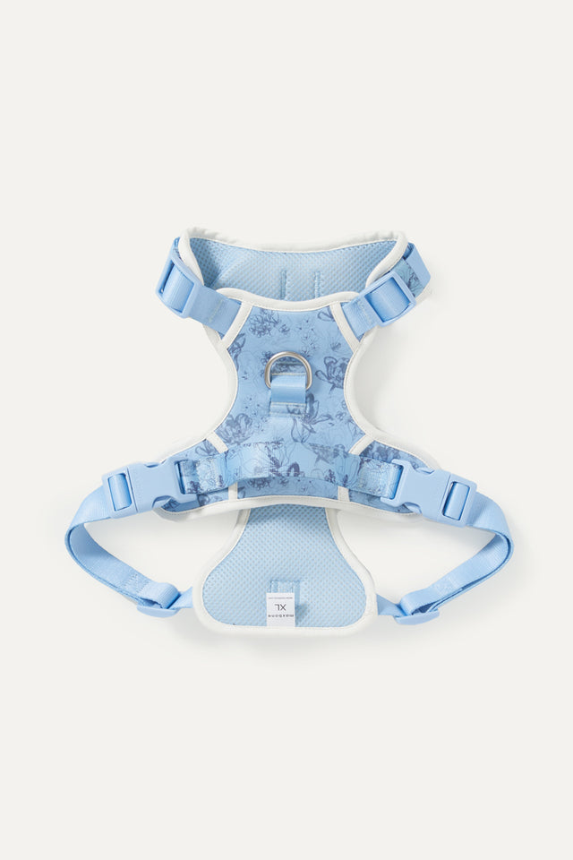 Bridgerton X Max Bone Walk Set For Dogs