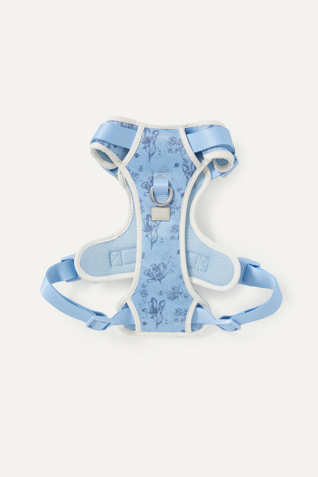 Bridgerton X Max Bone Walk Set For Dogs