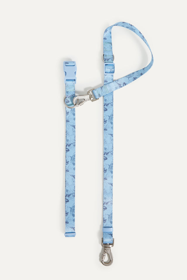 Bridgerton X Max Bone Walk Set For Dogs
