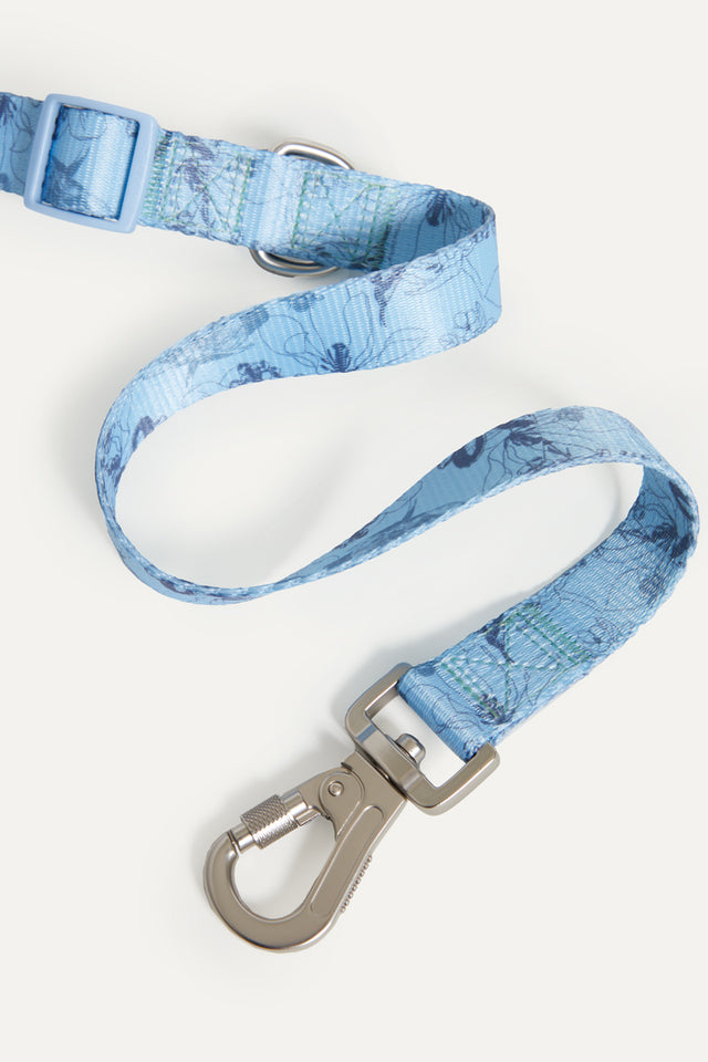Bridgerton X Max Bone Walk Set For Dogs
