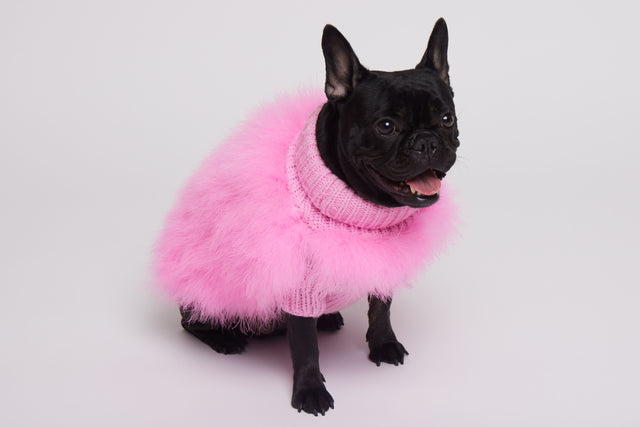 Christian Cowan X Max Bone Dog Jumper - Hot Pink