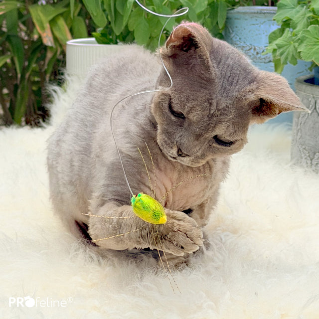 Profeline - Cat Toy Green Creature Refill