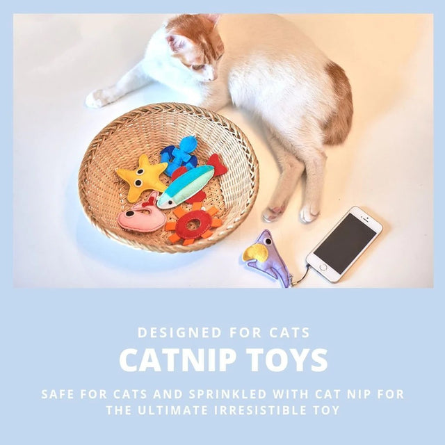 ViviPet Cat Toy Box Under the Sea