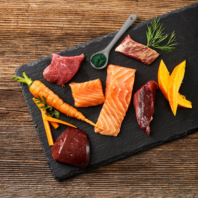 Fleischeslust Dog Wet Food Classic Salmon with Beef