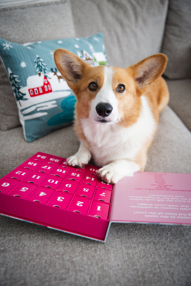 Laila and Me Dog Advert Calendar