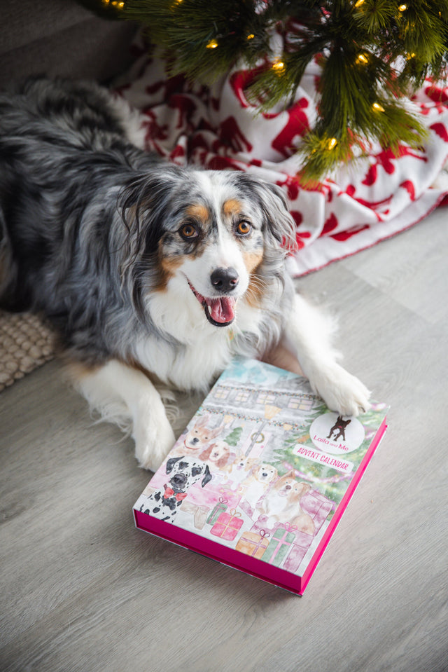 Laila and Me Dog Advert Calendar