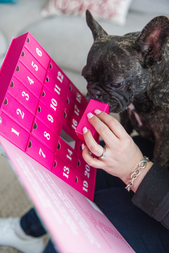 Laila and Me Dog Advert Calendar