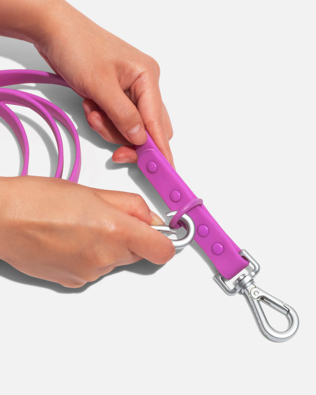 Wild One Dog Leash -Orchid ✨ Limited Edition