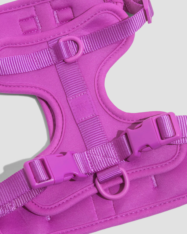 Wild One Dog Harness 2.0 - Orchid ✨ Limited Edition