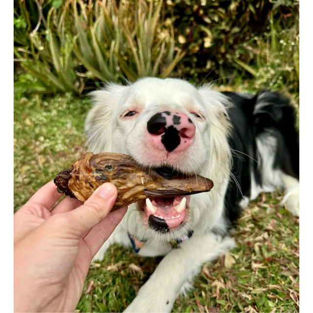 Laila and Me Naturally Dehydrated Duck Head 90g