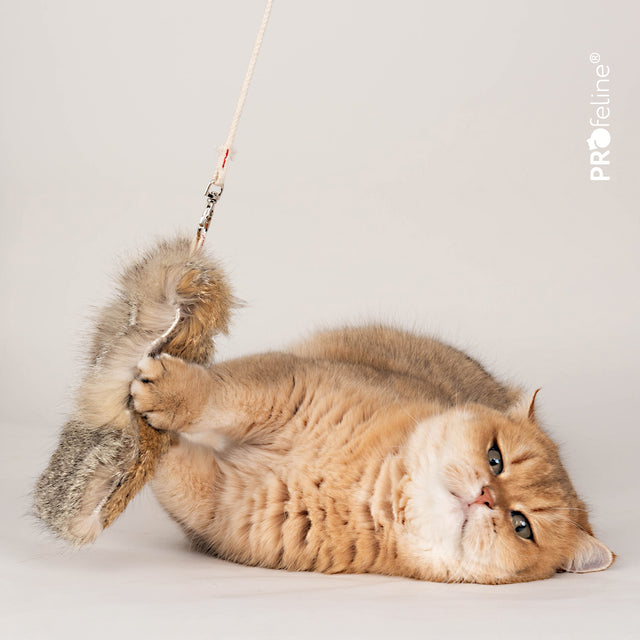 Profeline - Cat Toy Fox Fur Refill