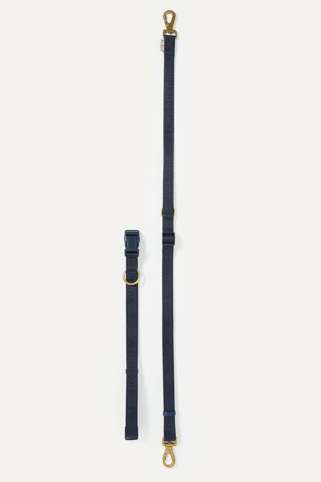 Fred Segal X Maxbone GO! With Ease Bundle For Dogs - S