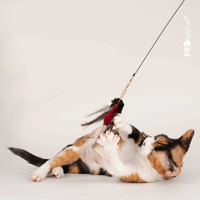 Profeline - Cat Toys Furry Phoenix