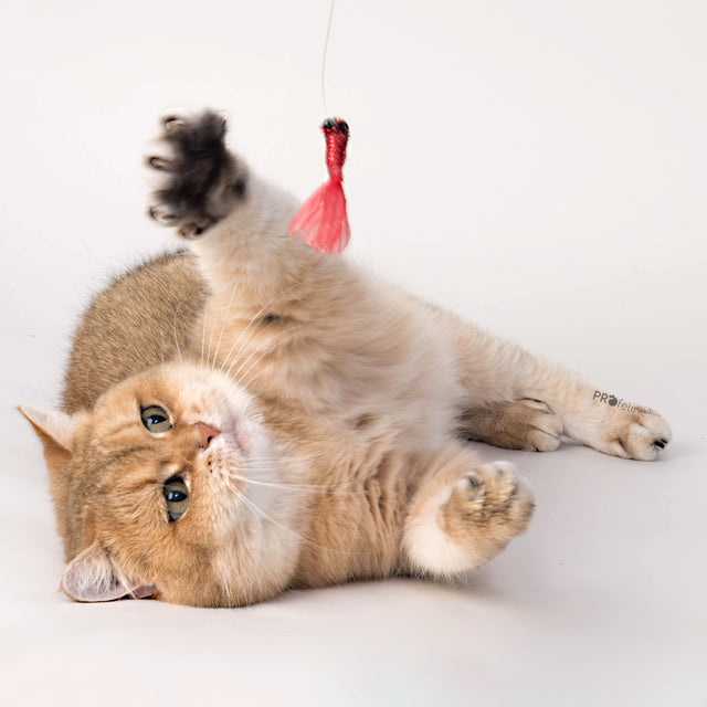 Profeline - Cat Toy Shiny Flutters Refill