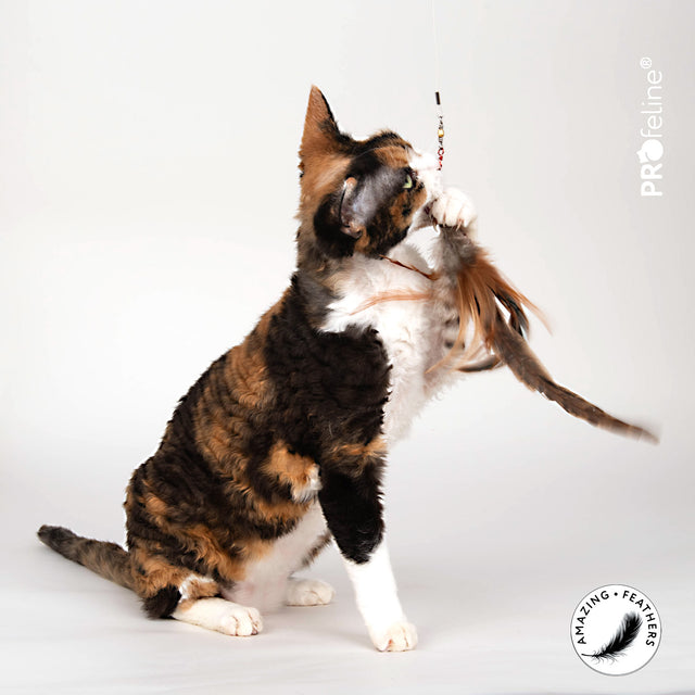 Profeline - Cat Toy Wild Tiger Refill