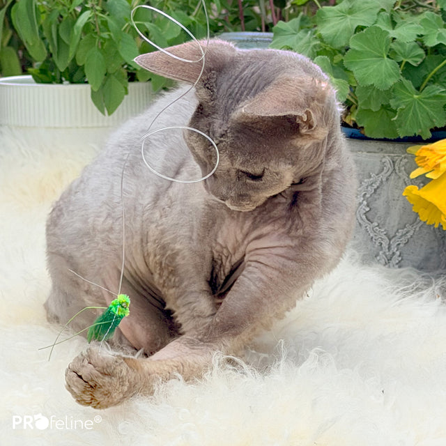 Profeline - Cat Toy Green Creature Refill
