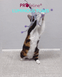 Profeline - Cat Toy Luminous Tubes Attachment