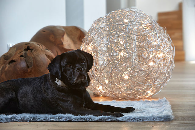 MiaCara Lana Dog Blanket