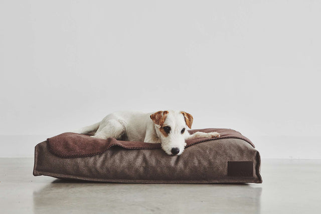 MiaCara Unica Dog Blanket