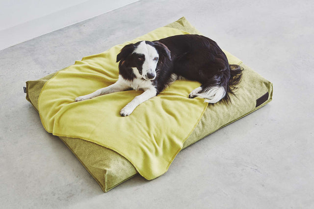MiaCara Unica Dog Blanket
