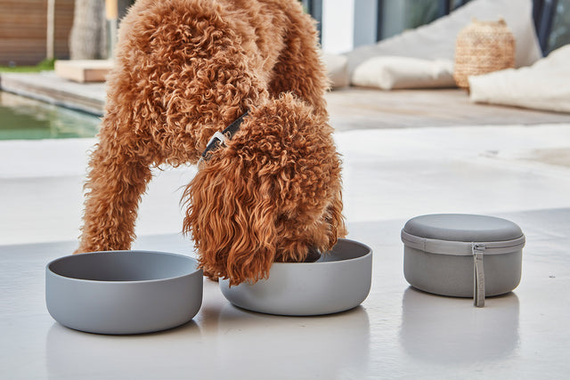 MiaCara Travel bowls and feed containers for Dogs