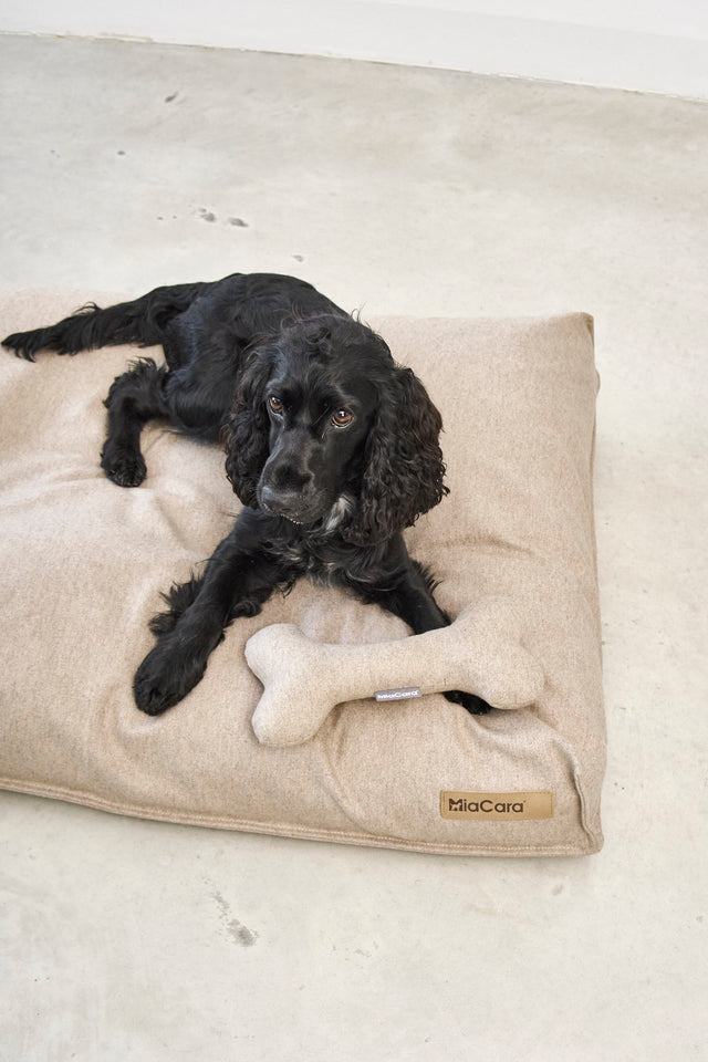 MiaCara Dog Soft Play Bones