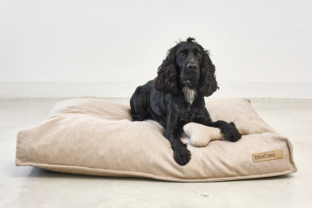 MiaCara Dog Soft Play Bones
