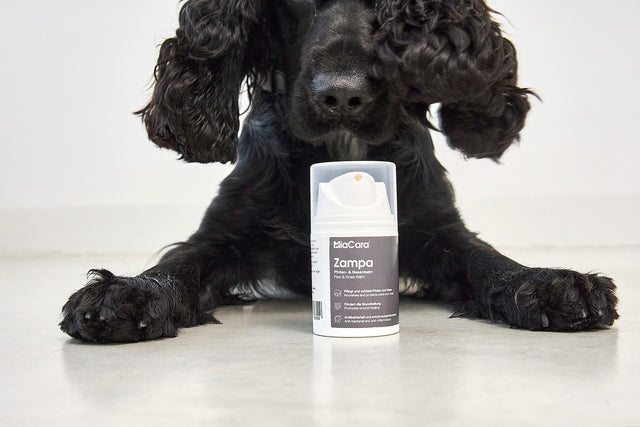 MiaCara Zampa Paw and nose balm for Dogs (Best Before 31/12/2025)