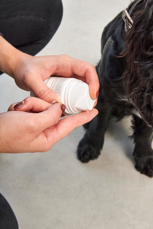 MiaCara Zampa Paw and nose balm for Dogs (Best Before 31/12/2025)