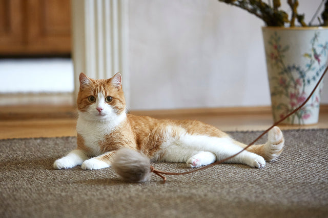 MiaCara Topo Cat Toy