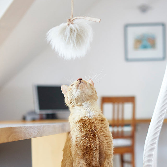 MiaCara Topo Cat Toy