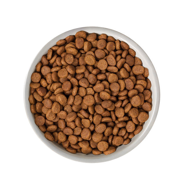 Nature's Variety Selected Dry Norwegian Salmon for Adult Cats