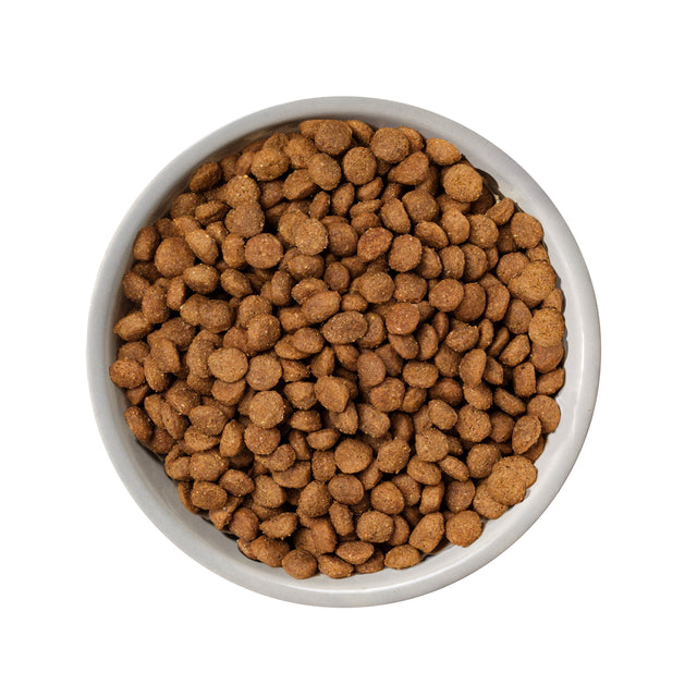 Nature's Variety Selected Dry Norwegian Salmon for Small Breed Dogs