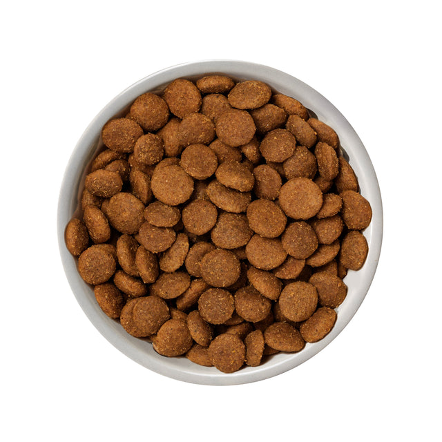 Nature's Variety Selected Dry Norwegian Salmon for Adult Dogs