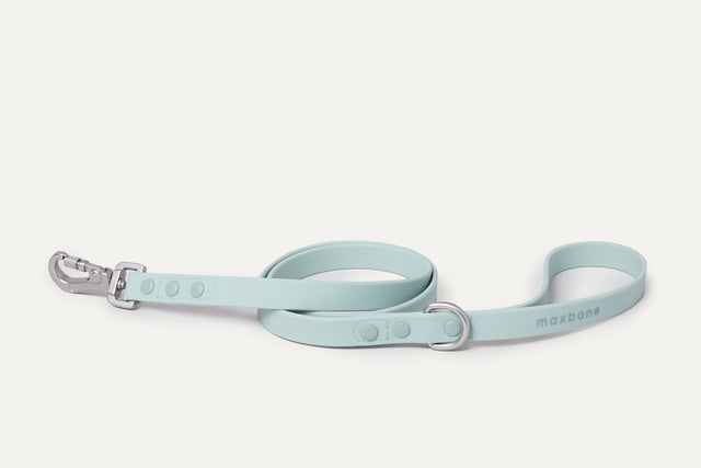 Max Bone Hazel Dog Leash - Mint