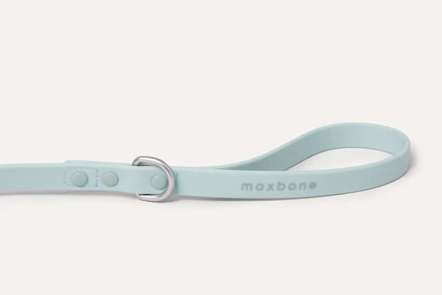 Max Bone Hazel Dog Leash - Mint