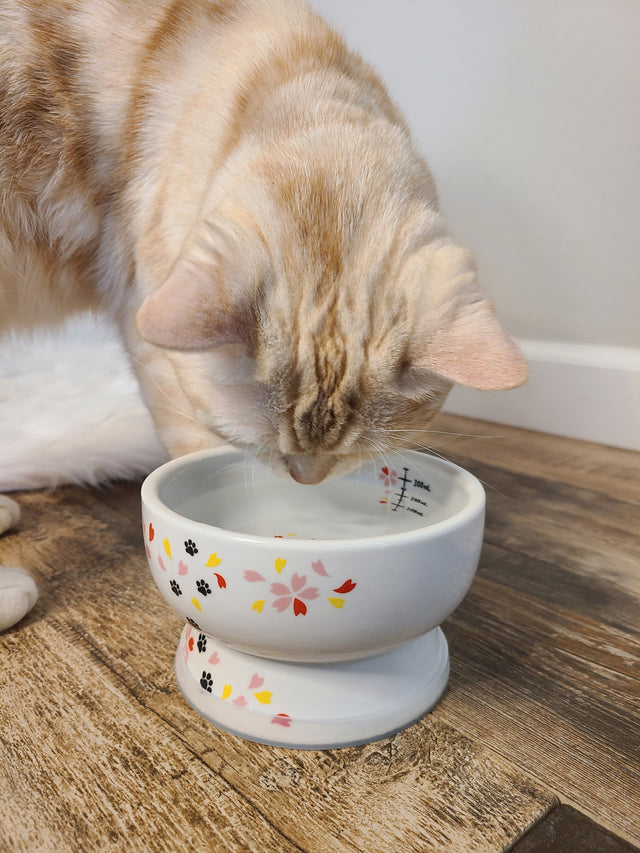 Necoichi Raised Cat Water Bowl (New Sakura)