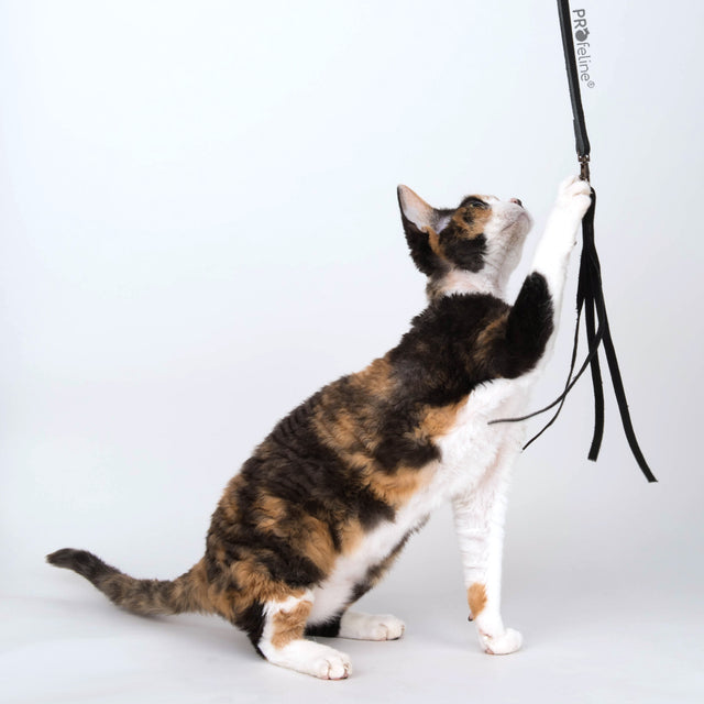 Profeline - Cat Toy Swinging Leather Fringe Refill