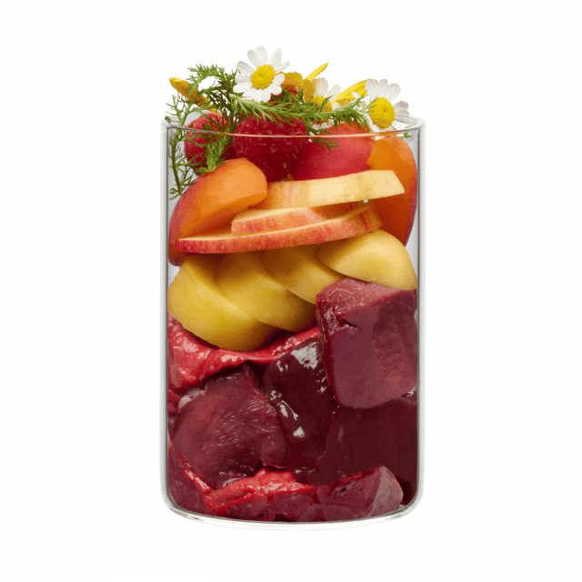 Terra Canis Flower Menu Alpine Blossom Beef