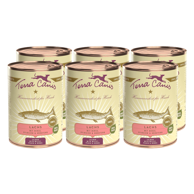 Terra Canis Classic Dog Wet Food Salmon