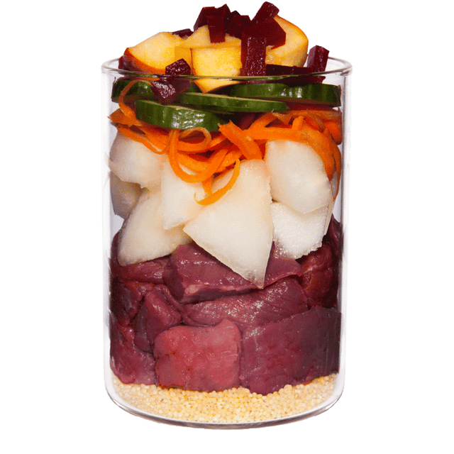 Terra Canis Classic Dog Wet Food Veal