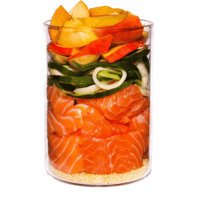 Terra Canis Classic Dog Wet Food Salmon