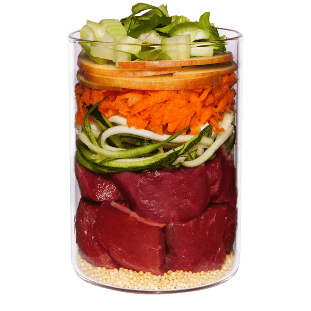 Terra Canis Classic Dog Wet Food Lamb