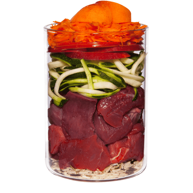 Terra Canis Classic Dog Wet Food Beef