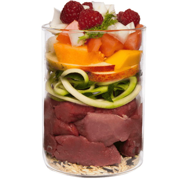 Terra Canis Classic Dog Wet Food Wild Boar