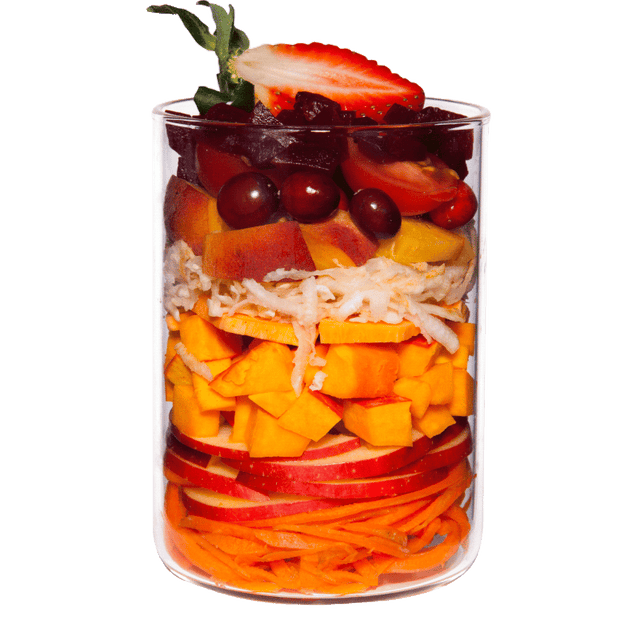 Terra Canis Vegetables For Dogs Garden Casserole Red Detox