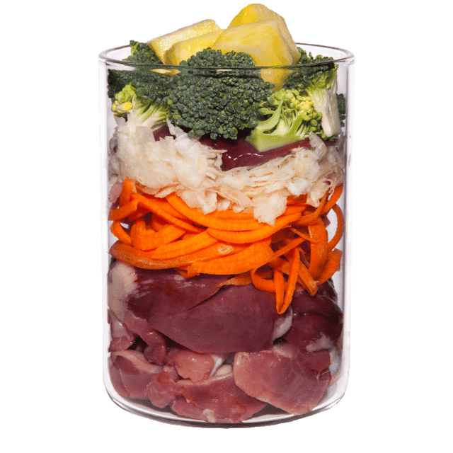 Terra Canis Light Menu Dog Wet Food Turkey